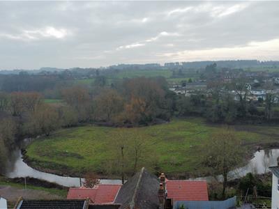 Picture 16